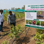 Drip-Irrigation-Horticulture-Promotion News