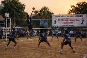 Volleyball enthusiasts