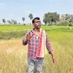 Crops dry up in Jangaon district
