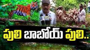Leopard movement triggers